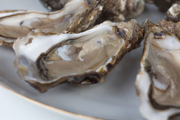 Huîtres
