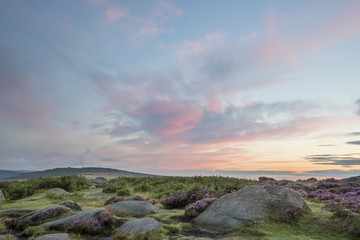 Stunning dawn sunrise landscape image of heather on Higger Tor in Summer in Peak District England