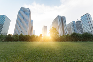 Fototapeta premium city downtown district with green lawn,dalian city,china.