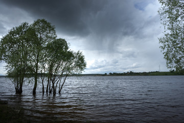 Trees on lake shore submerged in water. Flooded lake