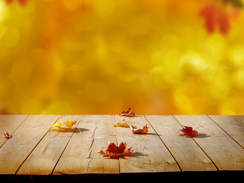 Colorful maple leaves on wooden  table.Falling leaves natural background .Autumn season concep