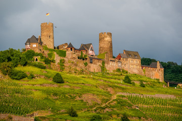 Fototapeta na wymiar Thurant Castle and vineyards above Moselle river near Alken, Germany.