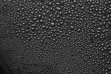 The Abstract water drop on surface of  fresh black background