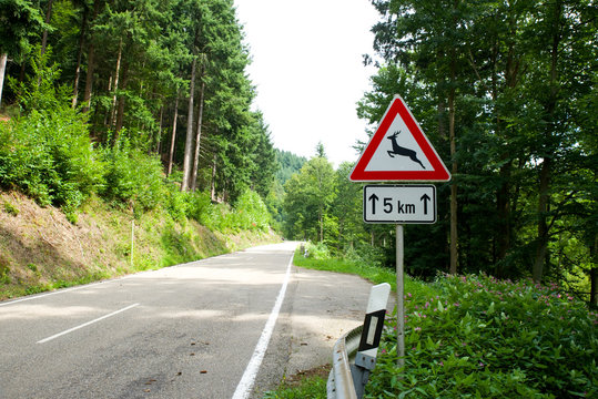 Achtung Wildwechsel