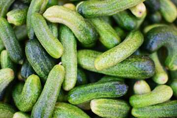 cucumbers 