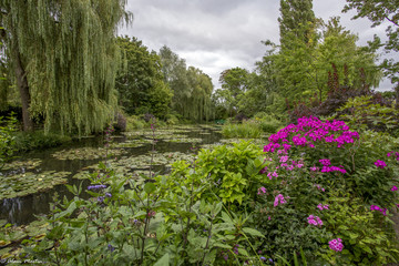 Fototapeta na wymiar Jardin de Monet à Giverny