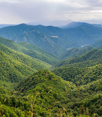 Mountain forest landscape at the foot of the Caucasus Mountains, Adygea, Russia