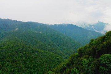 Fototapeta premium Sochi mountains