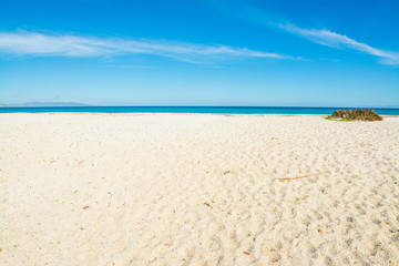 White sand in Stintino shore