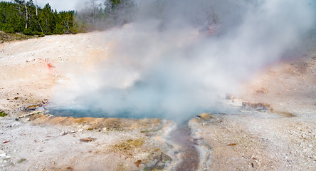 Geyser in Artists' Paintpots, Yellowstone National Park