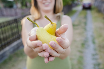 close up of hands - woman holding a yellow pear - thanksgiving - gardening