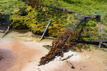 Artists' Paintpots, Yellowstone National Park