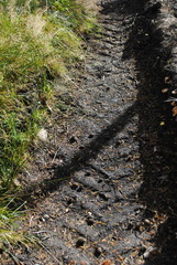 Schäden durch Forstfahrzeuge