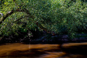 Tajemniczy strumień jak rwący potok © Anna Granat