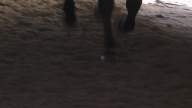 Closeup of the hooves of a galloping horse on a sandy track in slow motion