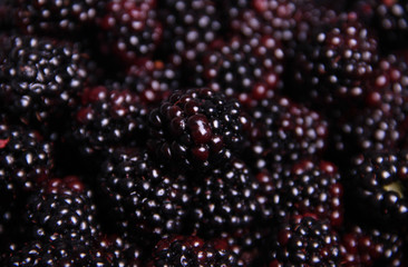 Blackberries
