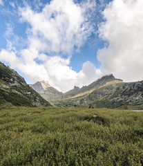 A foggy landscape, a view of the cliffs, the forest, Ergaki mountains