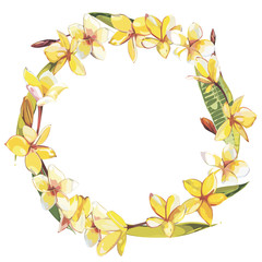 Hand drawn watercolor botanical illustration of Plumeria Flowers. Element for design of invitations, movie posters, fabrics and other objects. Wreath in watercolor style