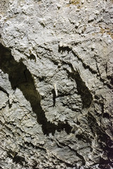 The crystals of aragonite on the wall of the cave.