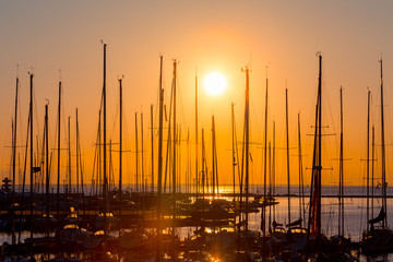 rows of boats mast