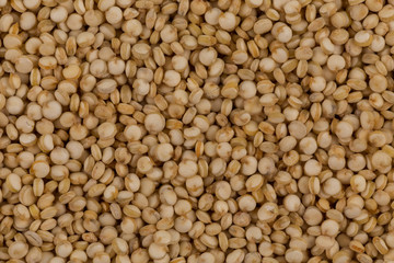 Quinoa seeds close up