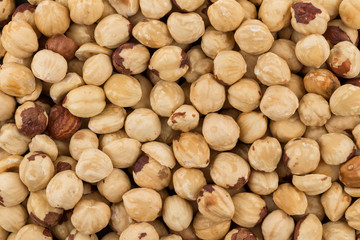 Hazel nuts close up