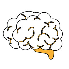 Brain icon Human organ mind and science theme Isolated design Vector illustration