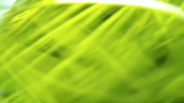 fast-flowing mountain stream videos under water
