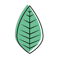 leaf icon over white background vector illustration