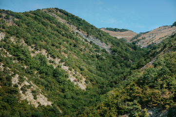 View of mountains and hills covered with forest. Natural background