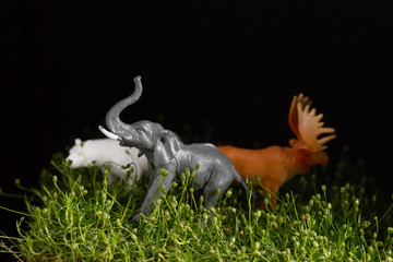 animal toys on the grass - ecological conpcept