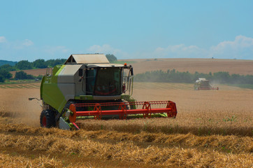 Grain harvesting with combine harvester