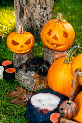 Halloween.  Jack-o-Lantern. scary pumpkin with a smile near candles and spider in green forest, outdoor. Decoration.