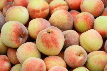 tas de pêches de vignes,récolte de jardin
