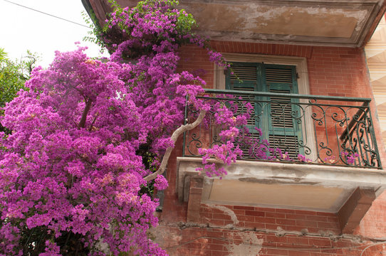monterosso