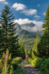 Obrazy na Szkle  Tatra mountains, Poland landscape, tourist trail in Gasienicowa valley (Hala Gasienicowa), summer
