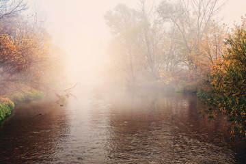 Fototapeta na wymiar Autumn scenery - flowing river