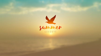 sunrise seascape and seagull