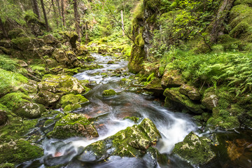 Fototapeta premium Water flow in a stream, long exposure