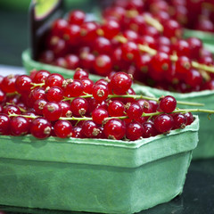 the Red currant in green cardboard boxes for sale on the farm market
