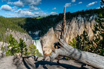 Cascade de Lower Falls, chute d'eau dans le canyon de la rivière Yellowstone, dans le Yellowstone National Park