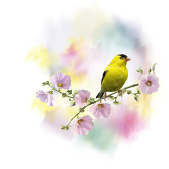 yellow bird watercolor