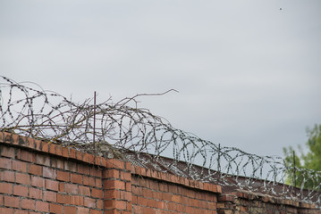 Barbwire on grey clouds background - prison concept