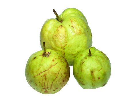 Closeup of group green Guava fruit on white background