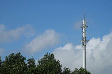 Top of the cellular antenna installed in the garden