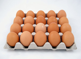 eggs box
