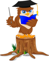 Fototapeta premium owl wearing graduation cap