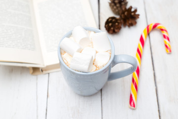 reading a book with a cup of hot chocolate and candy cane