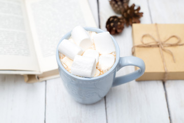 reading a book with a cup of hot chocolate and marshmallows. cozy