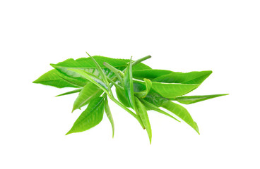 green tea leaves on white background
